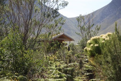 The green roof merges the buildings with the landscape