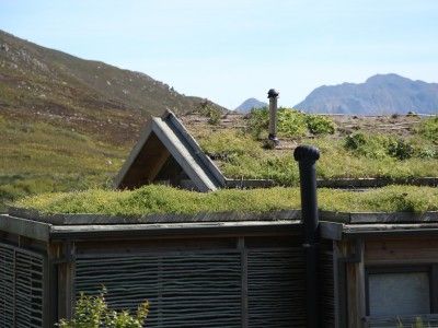 Green roof with indigenous water-wise planting